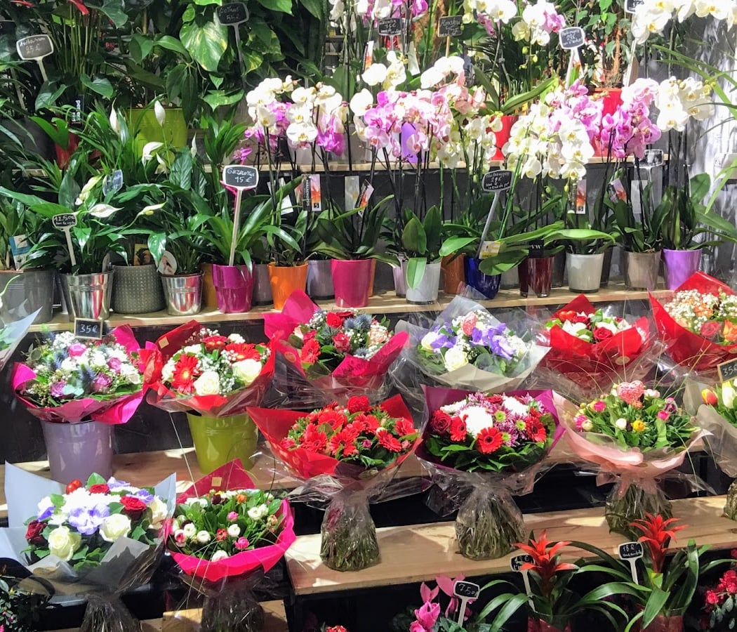 Alice Fleurs 2